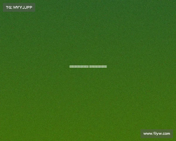 热刺首发派帕利尼亚迎战拜仁 上演首秀东家互换精彩对决